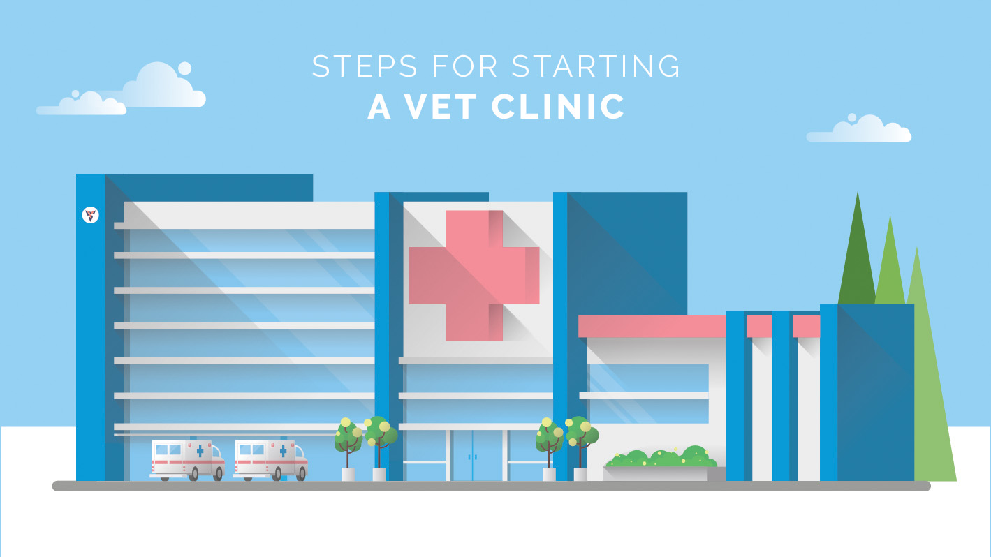 how to start a veterinary practice